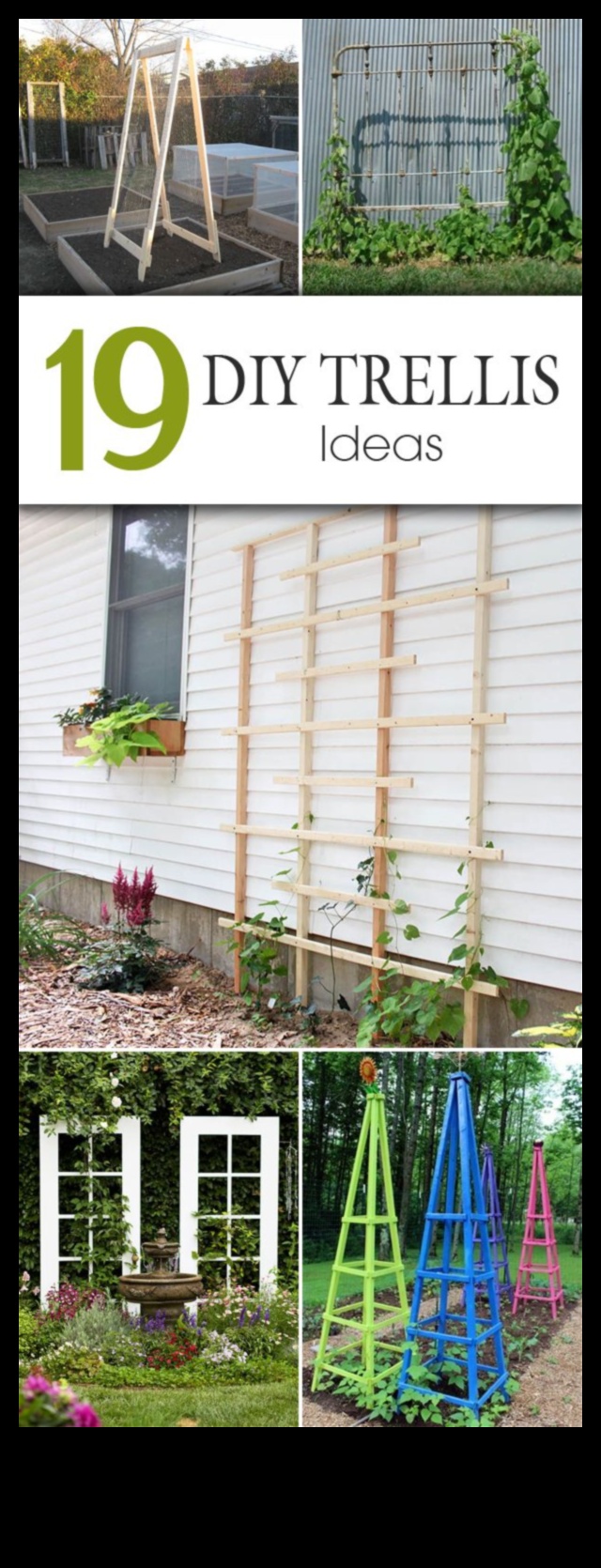 Transformative Trellises: Impressive DIY Inspirations