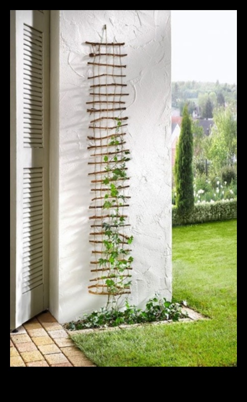 Transformative Trellises: Impressive DIY Inspirations