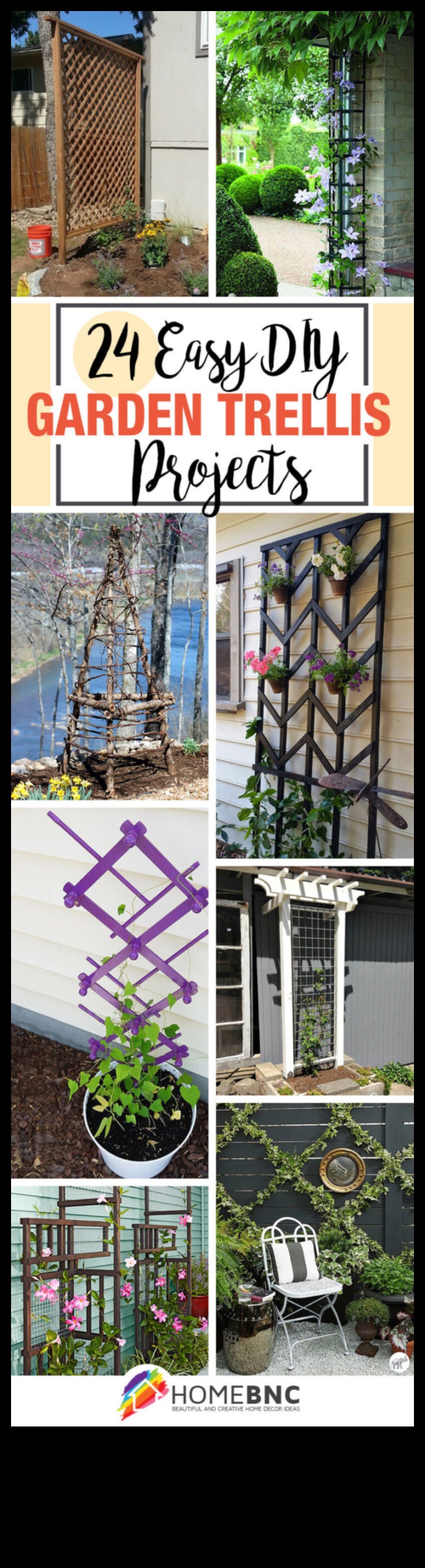 Transformative Trellises: Impressive DIY Inspirations