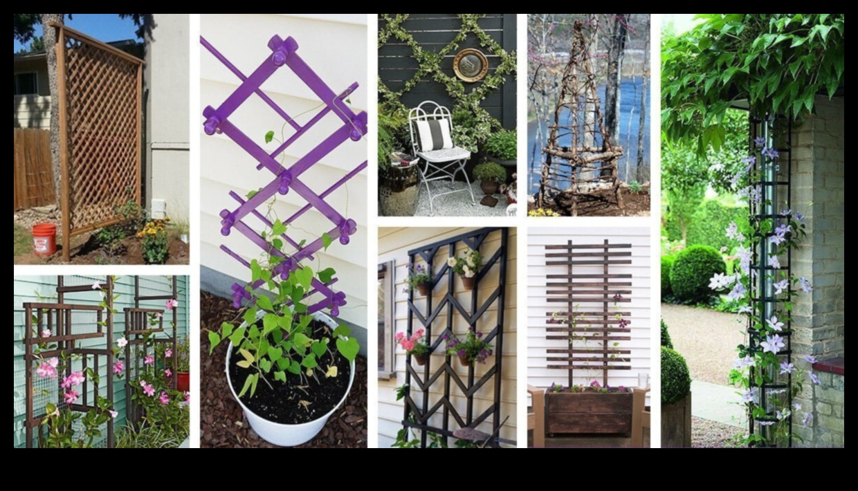 Transformative Trellises: Impressive DIY Inspirations