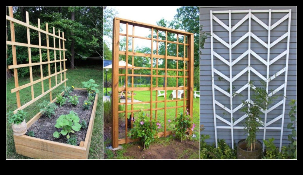 Transformative Trellises: DIY Inspirations That Impress