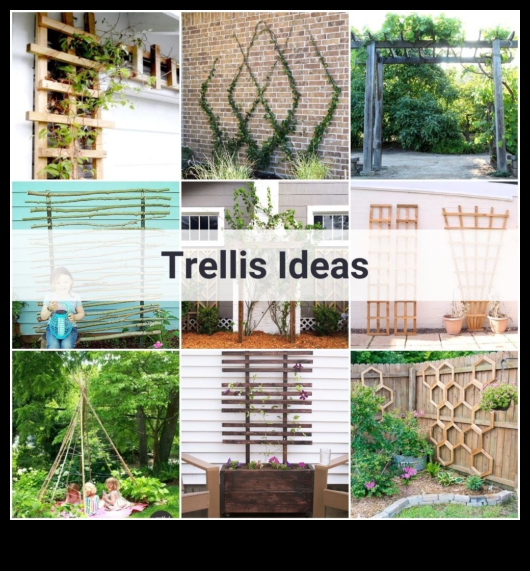Transformative Trellises: DIY Inspirations That Impress