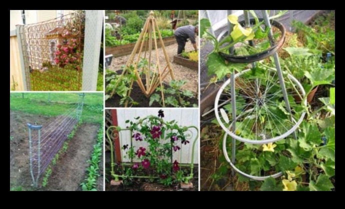 Transformative Trellises: DIY Inspirations That Impress