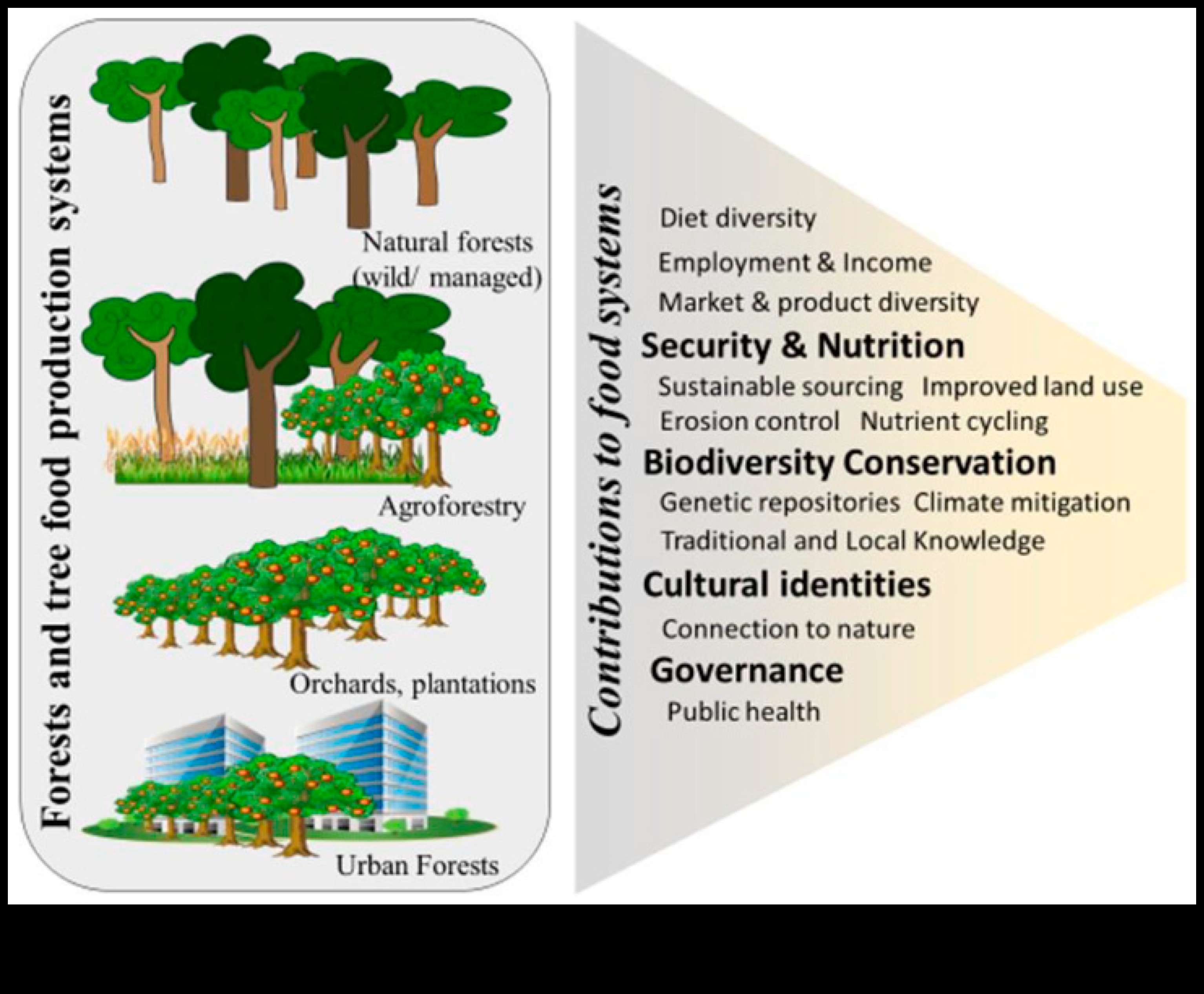 How do different tree species contribute to the biodiversity of landscapes?