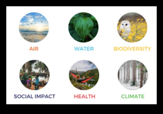 How do different tree species contribute to the biodiversity of landscapes?
