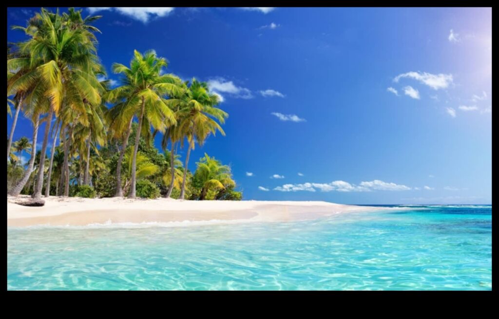 Tropical Island A Paradise on Earth 1