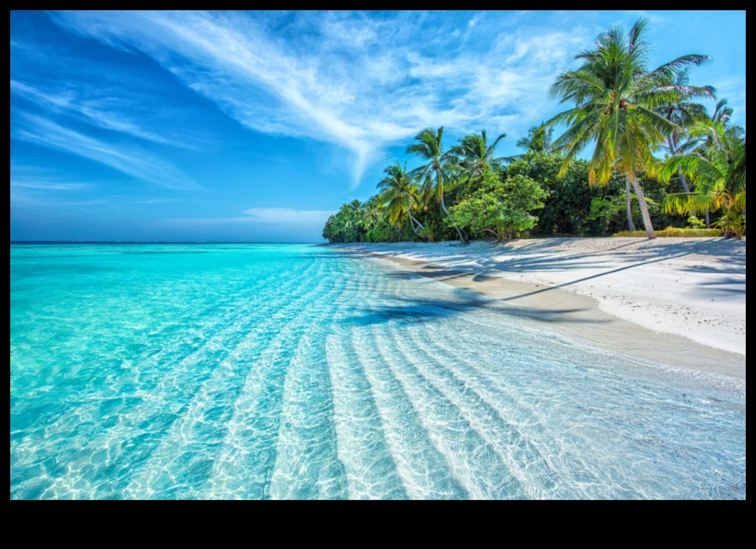 Tropical Treasures: Exploring Exotic Landscapes