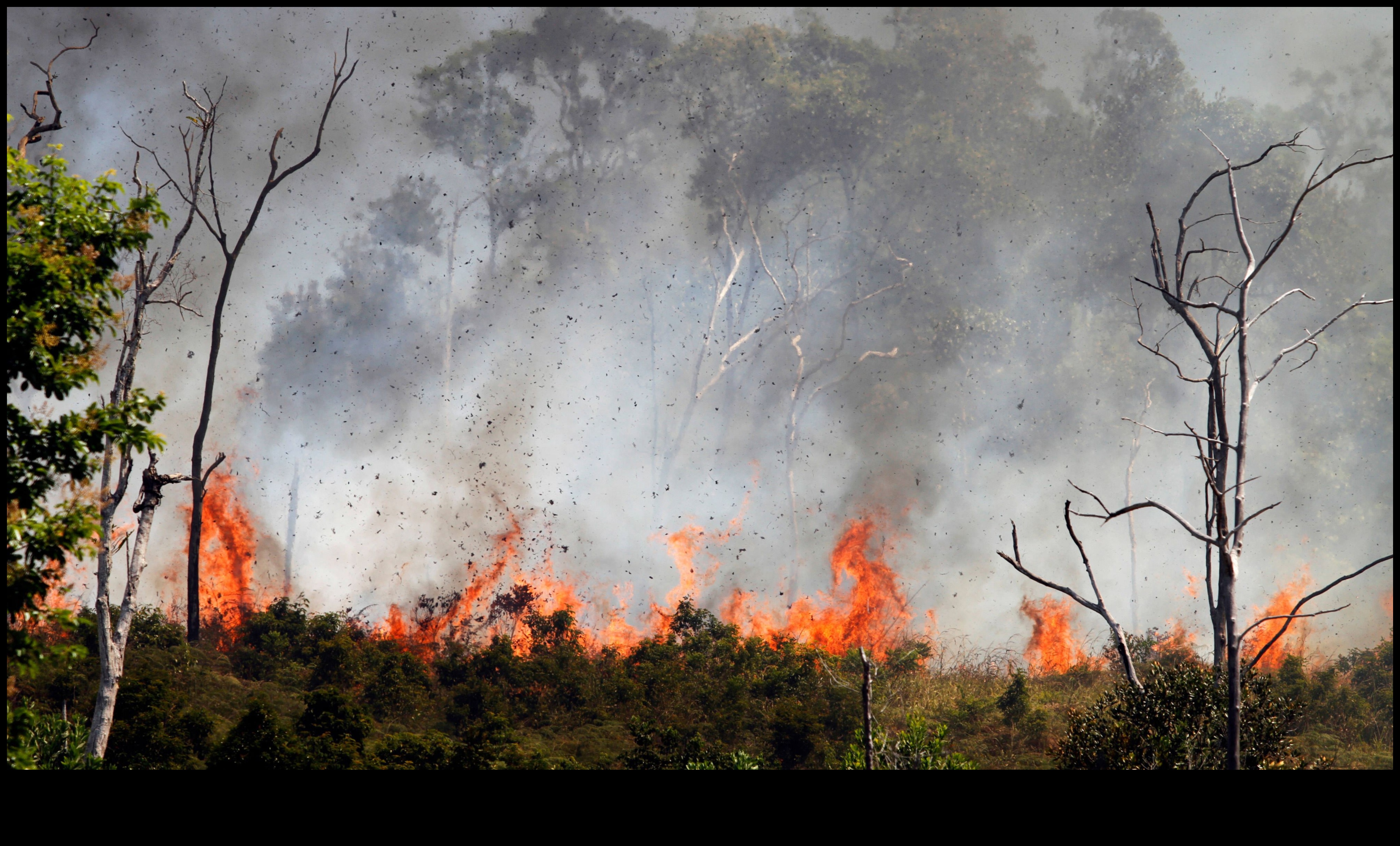 What is the impact of climate change on the preservation of tropical landscapes?