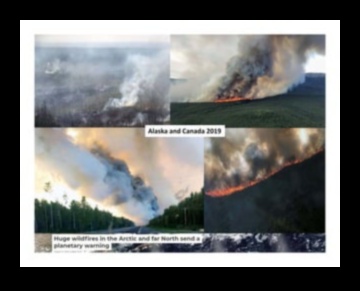 What is the impact of climate change on the preservation of tropical landscapes?