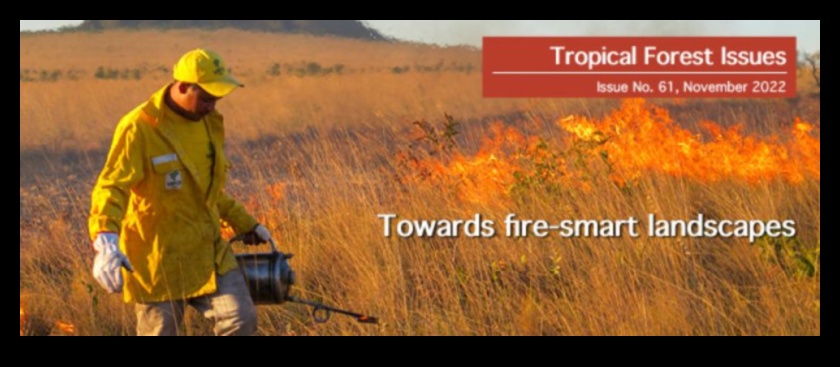 What is the impact of climate change on the preservation of tropical landscapes?