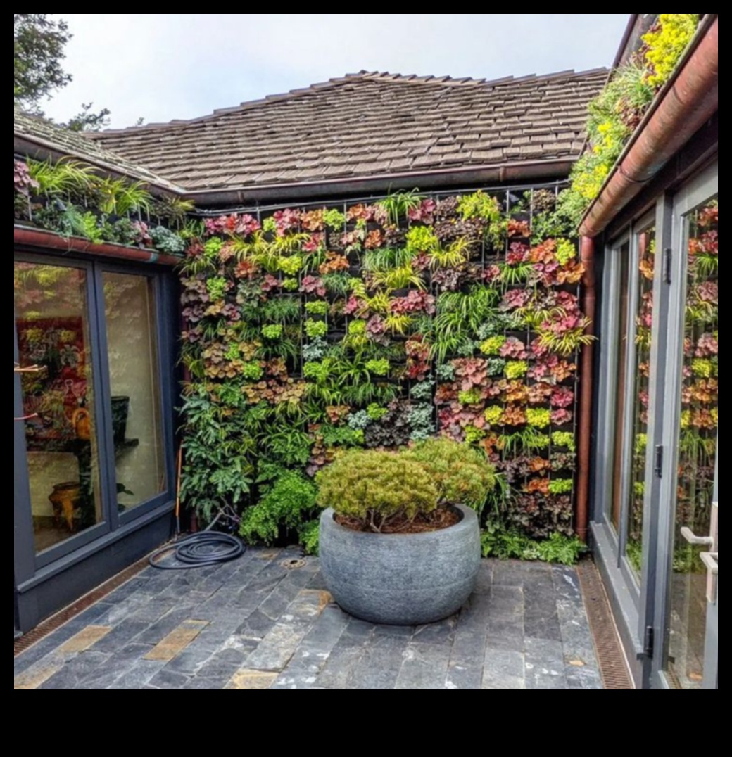 Up, Up, and Bloom: Vertical Gardening Adventures