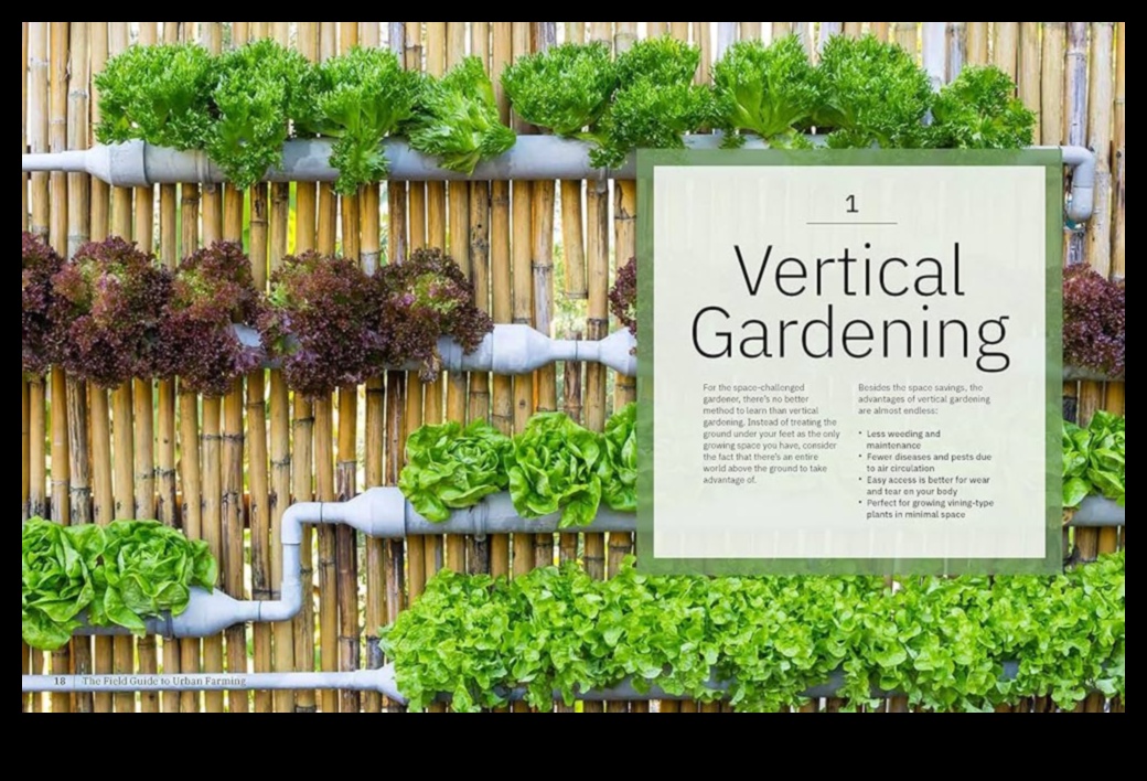 Up, Up, and Bloom: Vertical Gardening Adventures