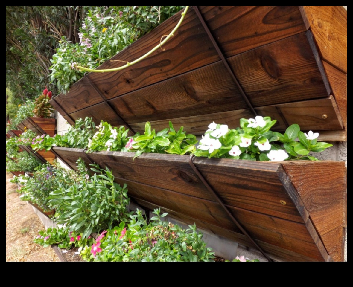 Up, Up, and Bloom: Vertical Gardening Adventures