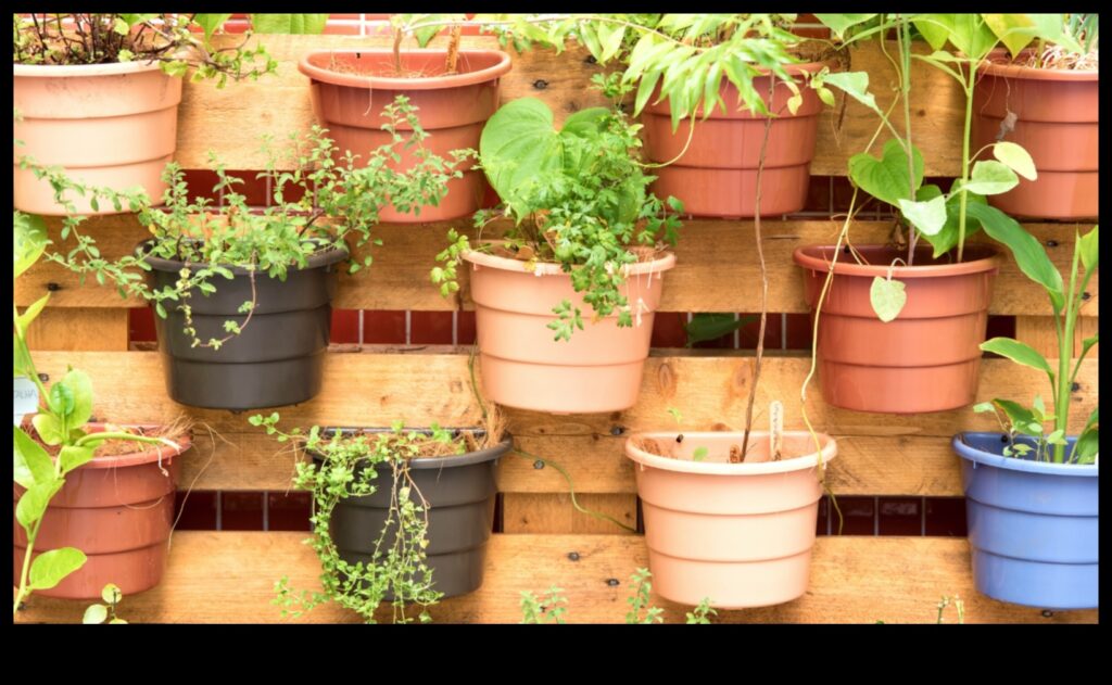 Upward Bound Beauty Vertical Gardening Secrets RevealedGrow your own food in a small space with these easy tips and tricks. 1