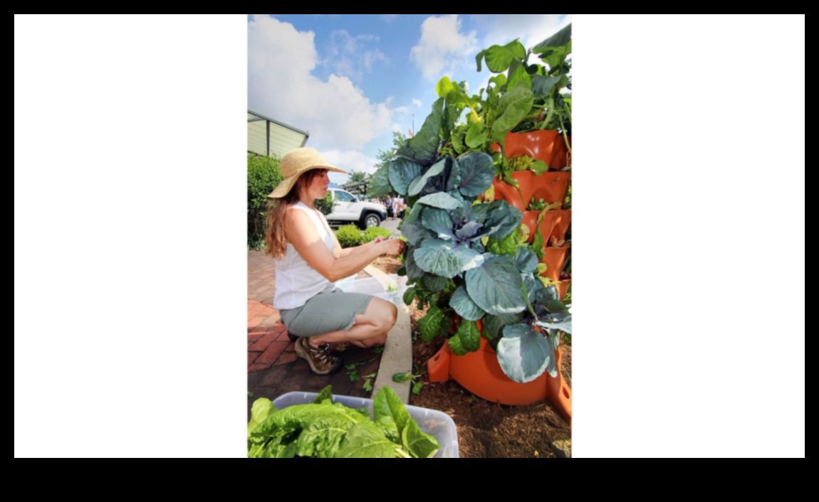 Upward Bound Blooms: Vertical Gardening Adventures