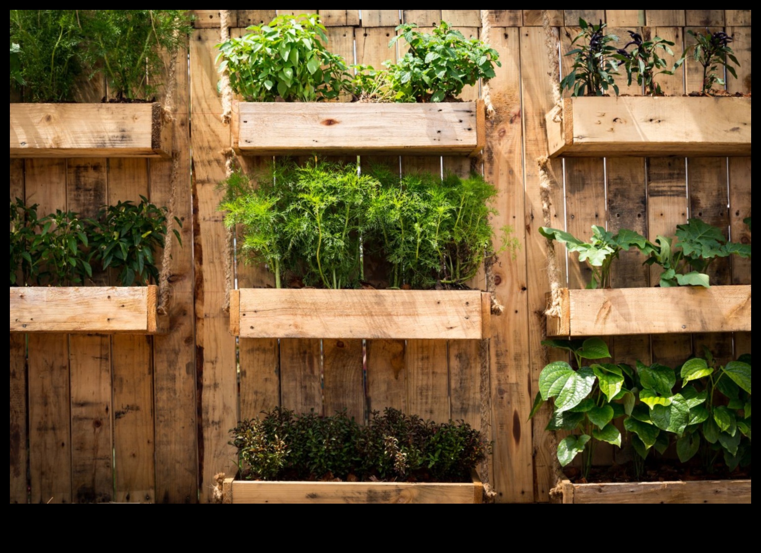 Upward Bound: Vertical Gardening Inspirations Revealed