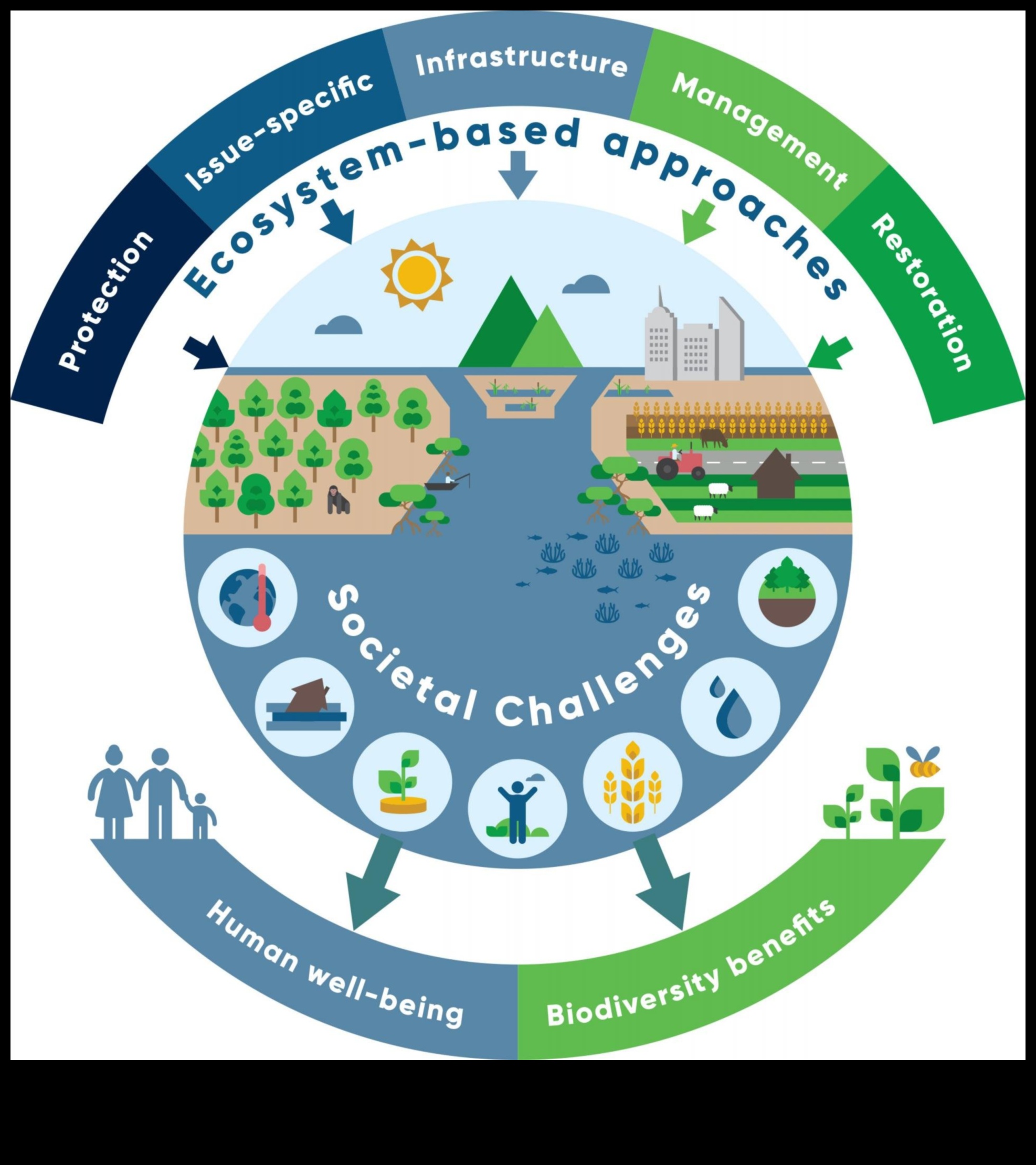 Urban Biodiversity: Wildlife Amidst Cityscapes