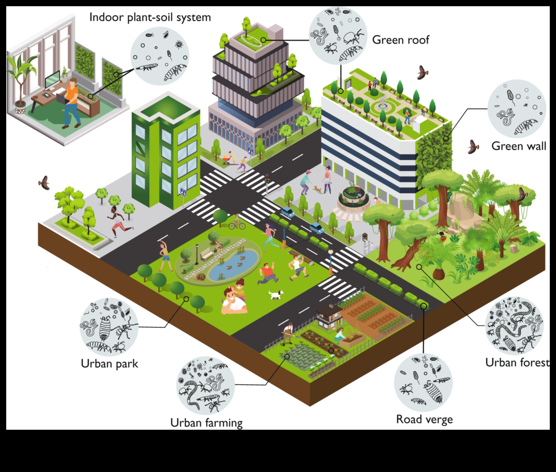 Urban Biodiversity: Wildlife Amidst Cityscapes