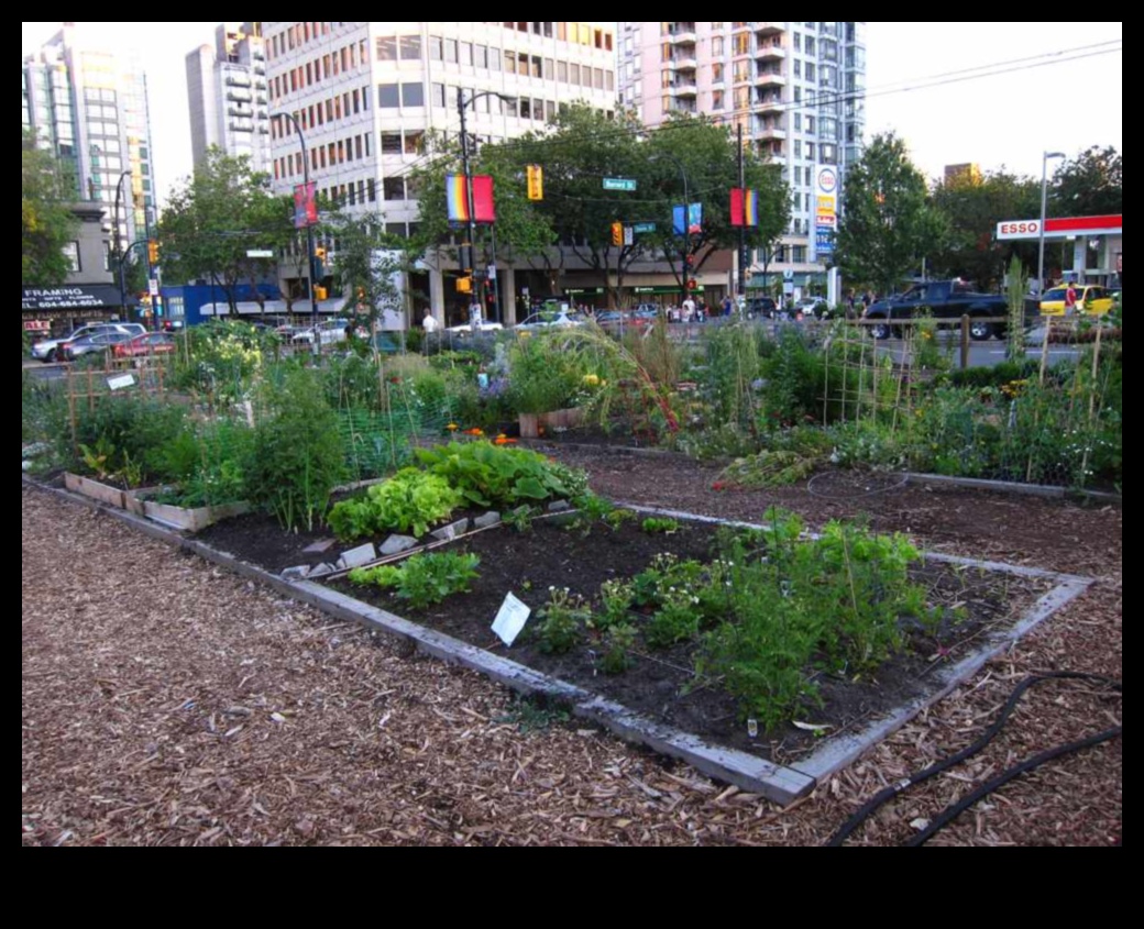 Urban Eden: Transforming City Spaces with Gardening