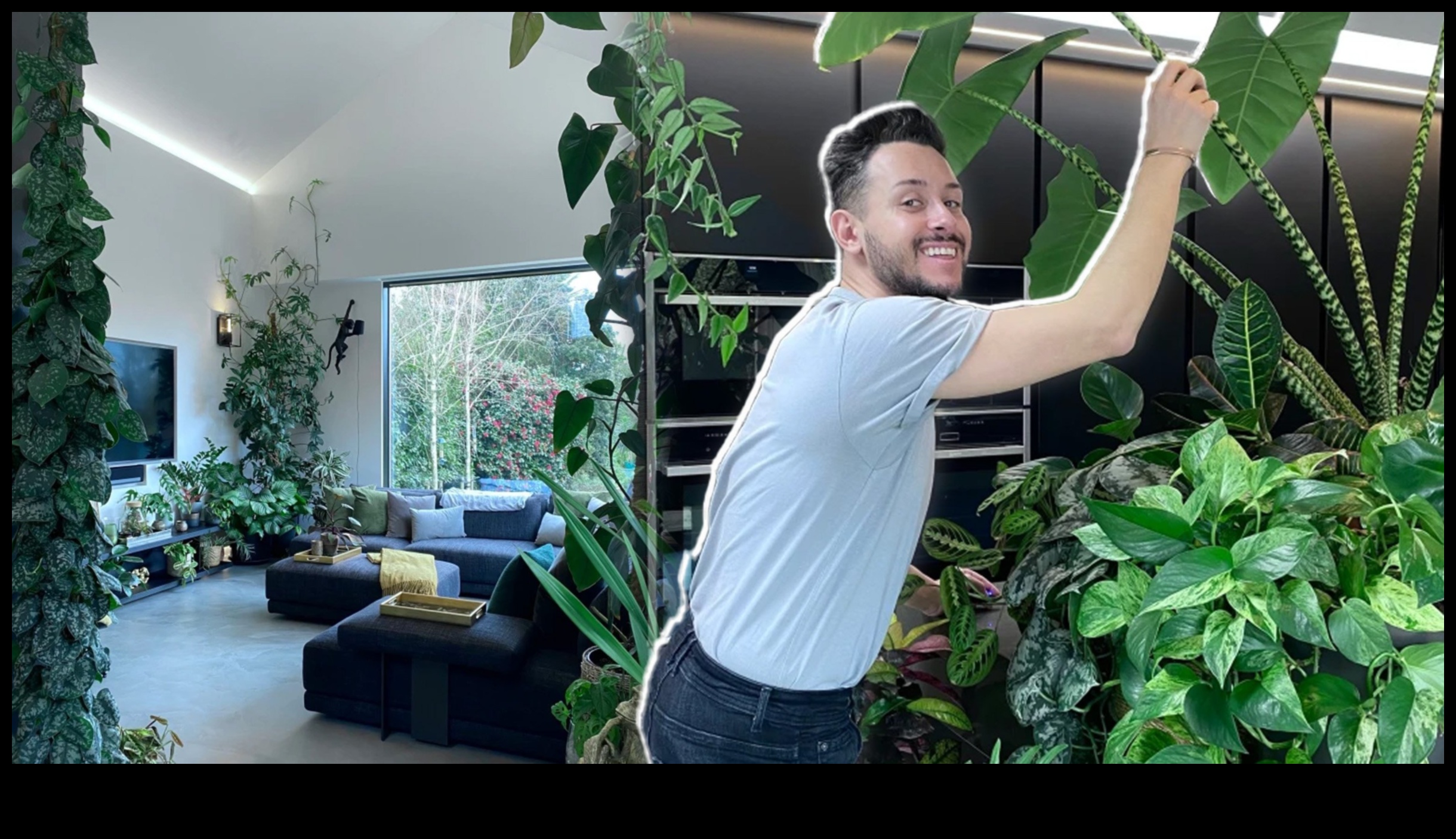 Urban Jungles Inside: Explore Indoor Gardening Bliss