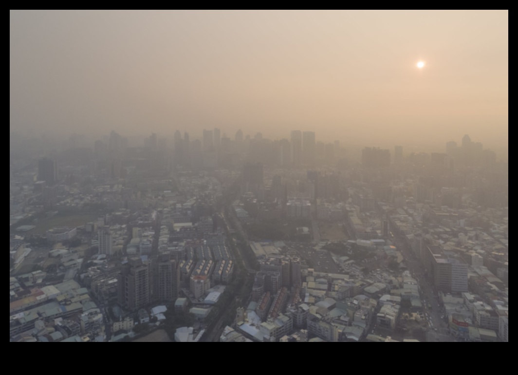 What impact does pollution have on urban landscapes?