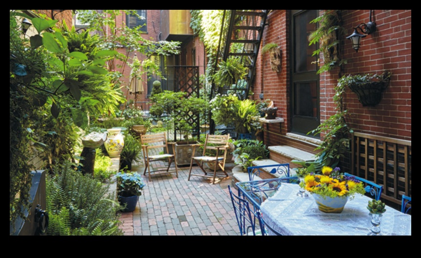 Urban Oasis: Container Gardening Secrets for City Dwellers