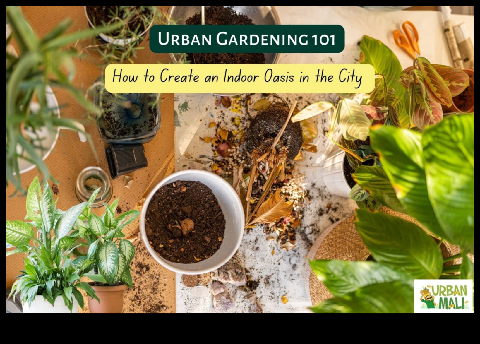 Urban Oasis Unveiled: Gardening Magic in the City