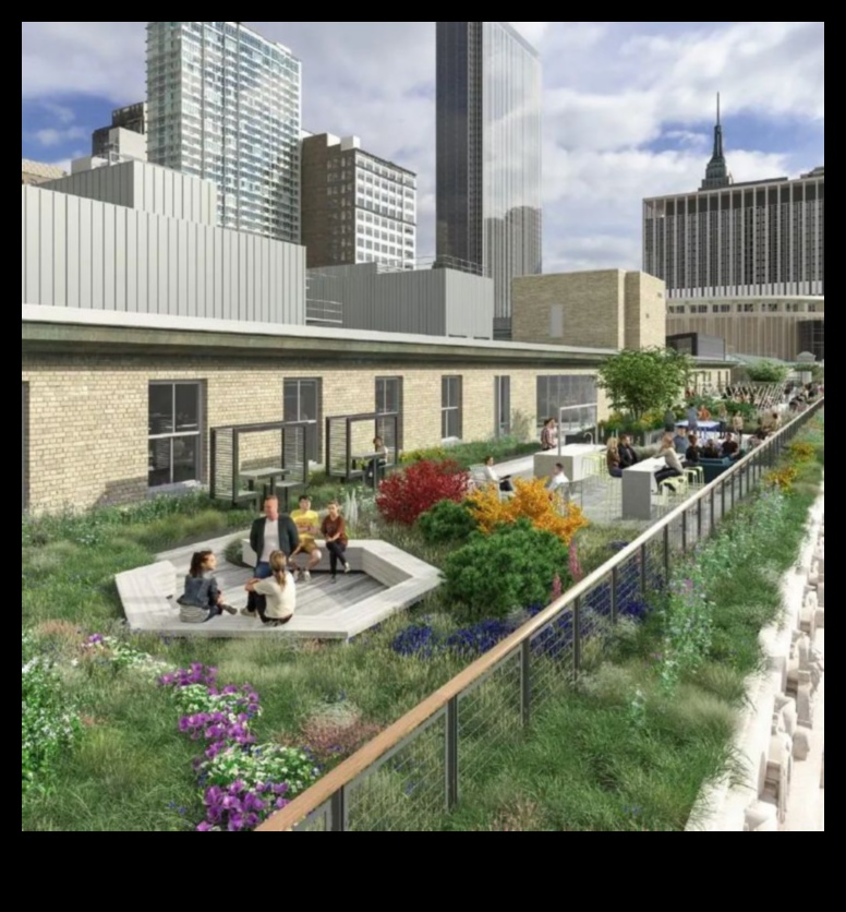 Urban Rooftop Landscape A New Frontier 1