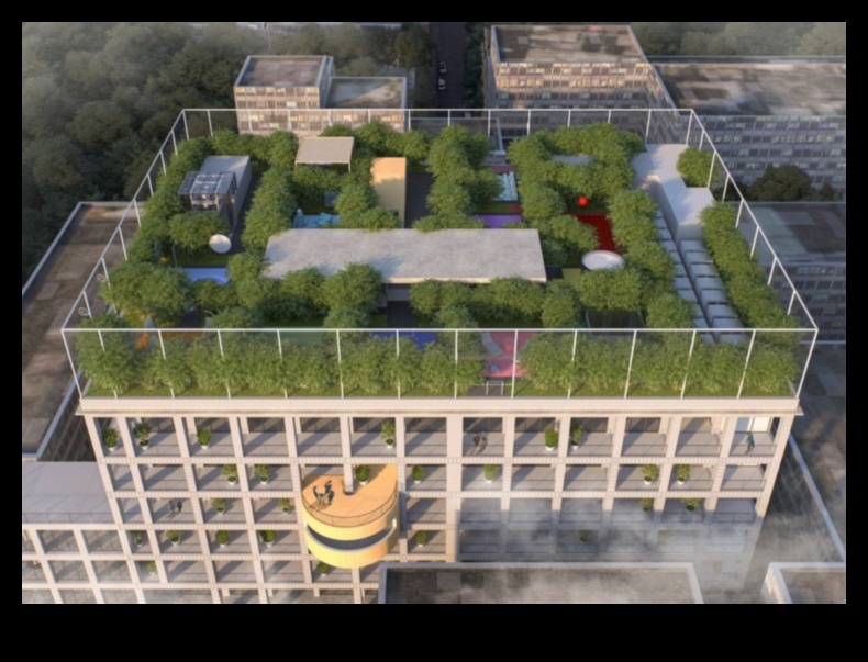 Why are urban rooftop landscapes gaining popularity?