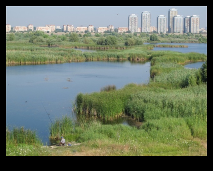 Urban Wetlands Nature's Oasis in the City 1
