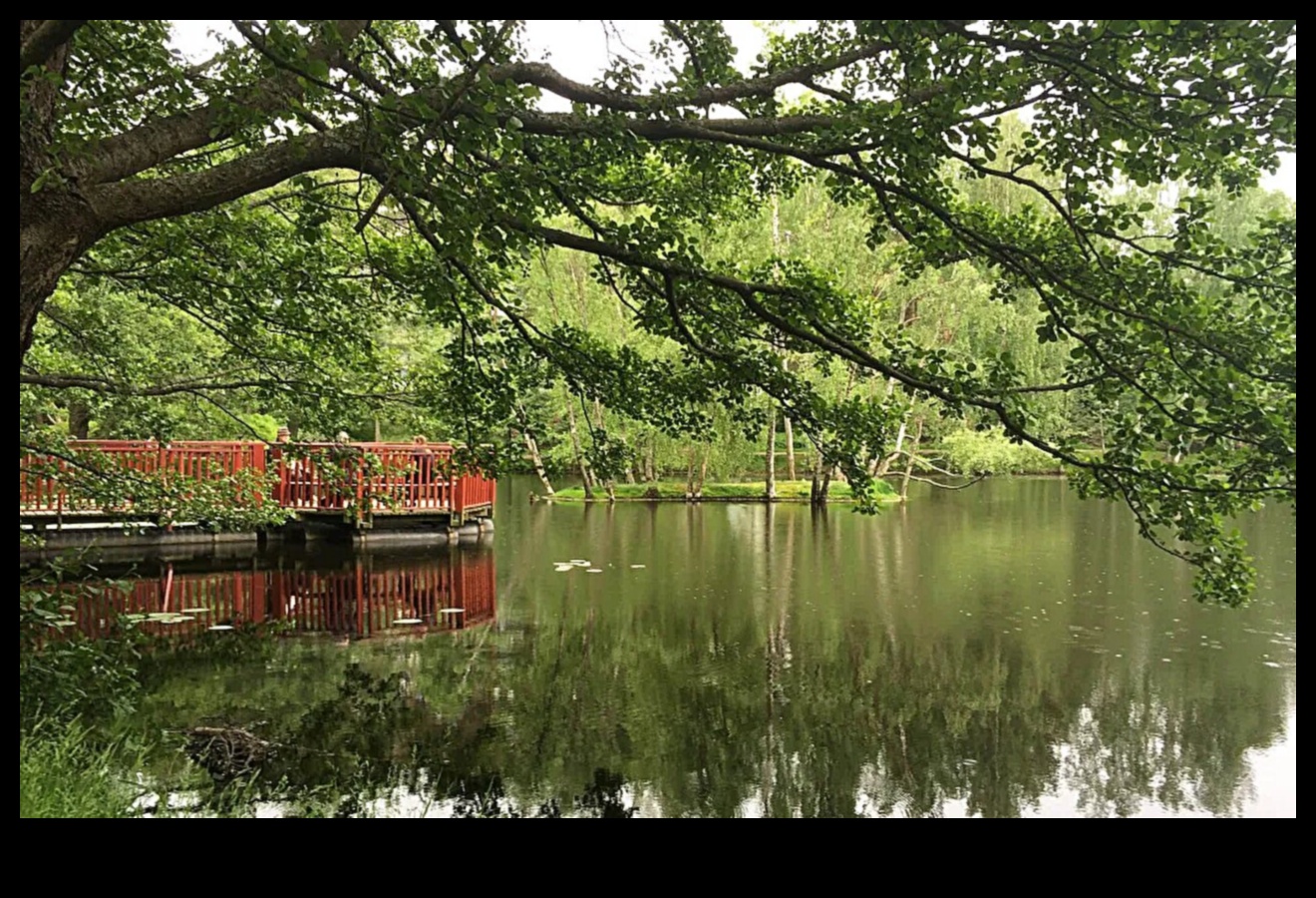 What role do urban wetlands play in enhancing city landscapes?