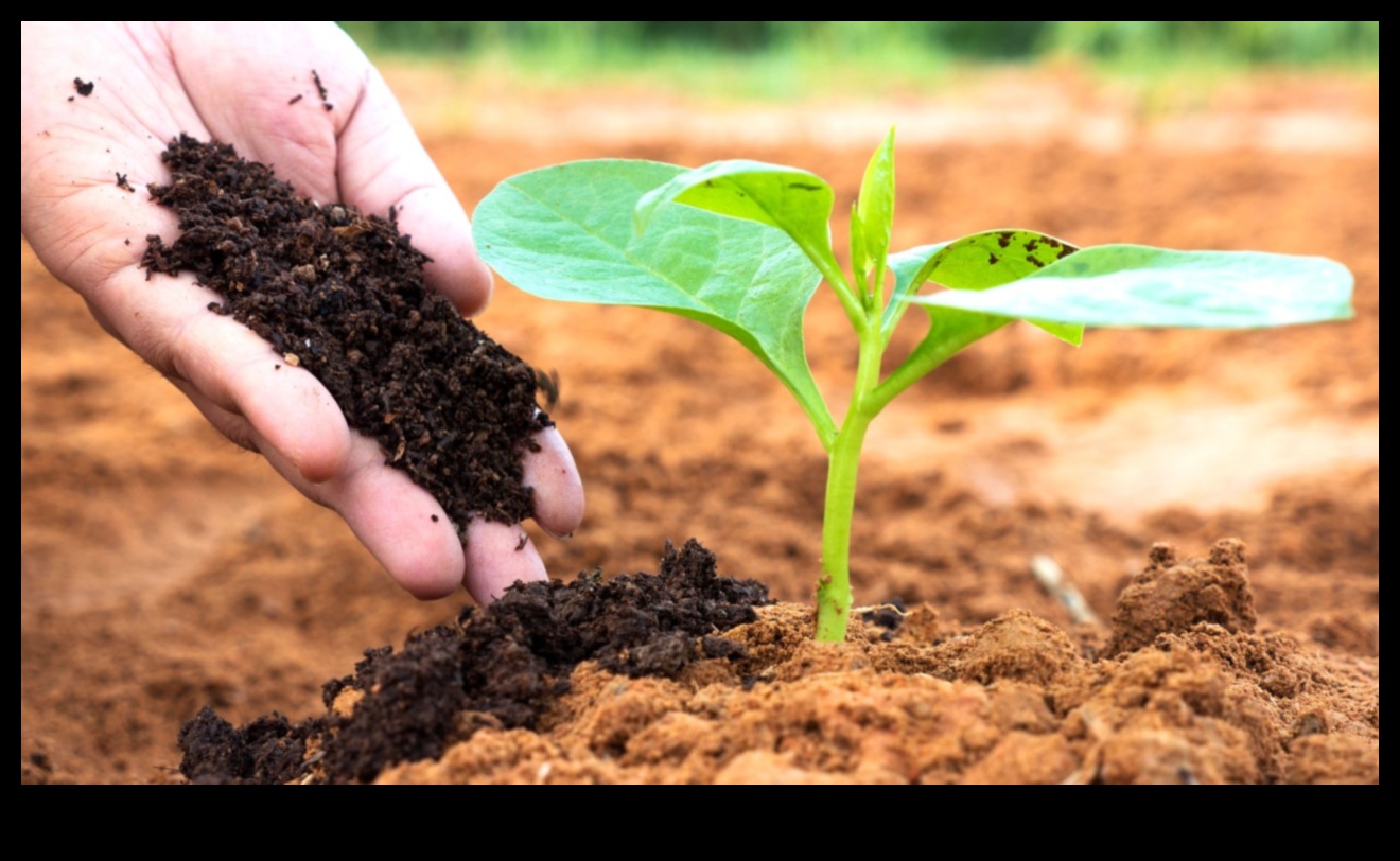 How do different soil types impact the vegetation of landscapes?