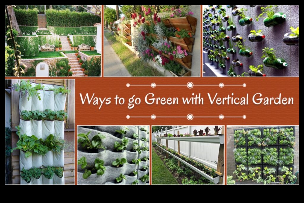 Vertical Greenery Innovative Urban Gardening Solutions for Small Spaces 1