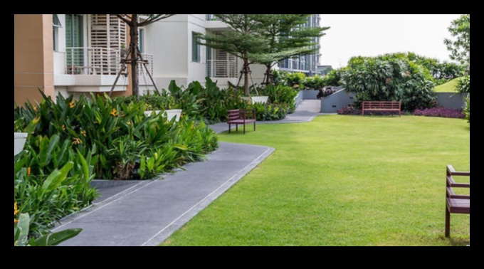 Vertical Haven: Craft Your Serene Retreat with Gardening Heights