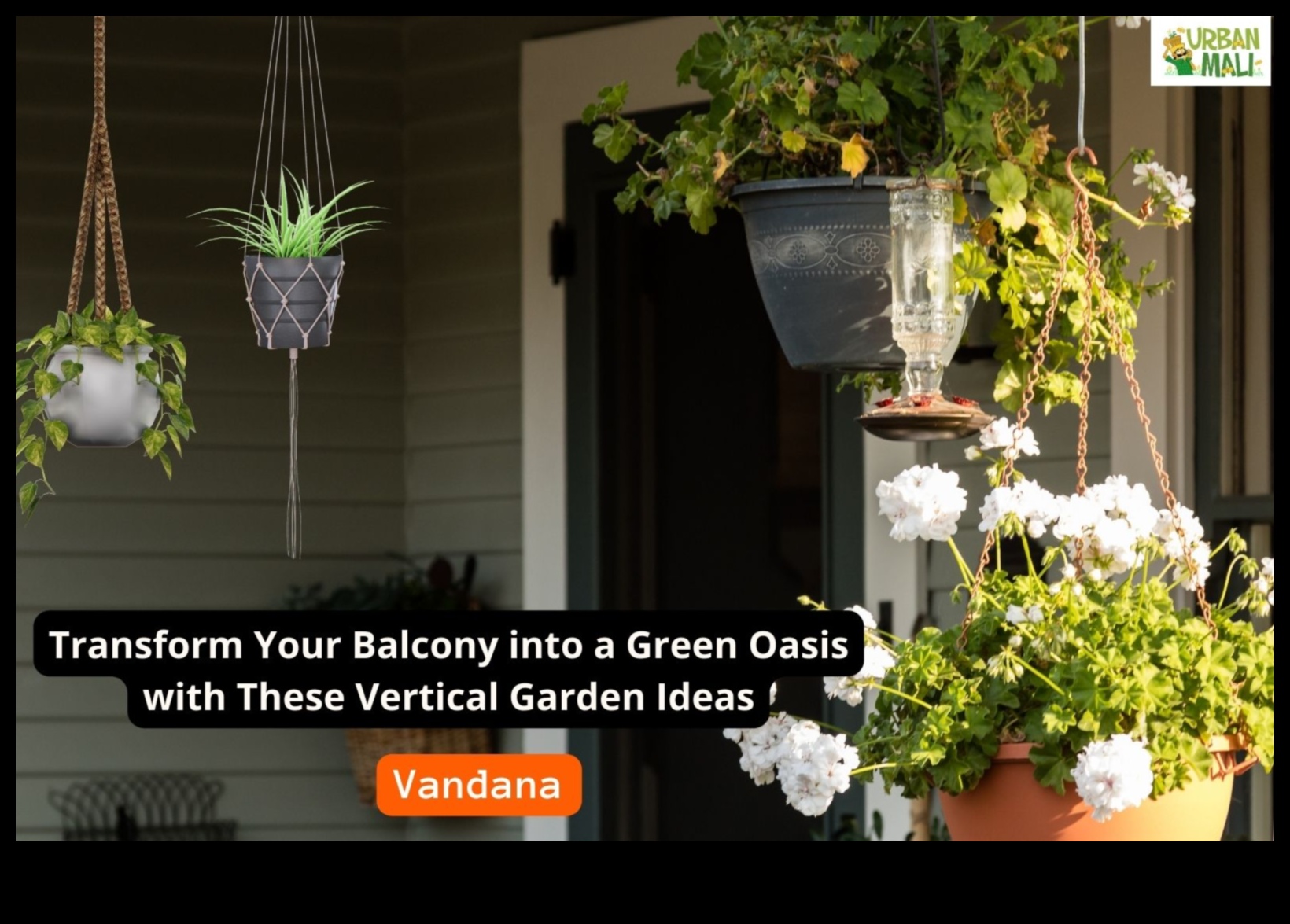 Vertical Oasis: Transforming Spaces with Unique Garden Heights