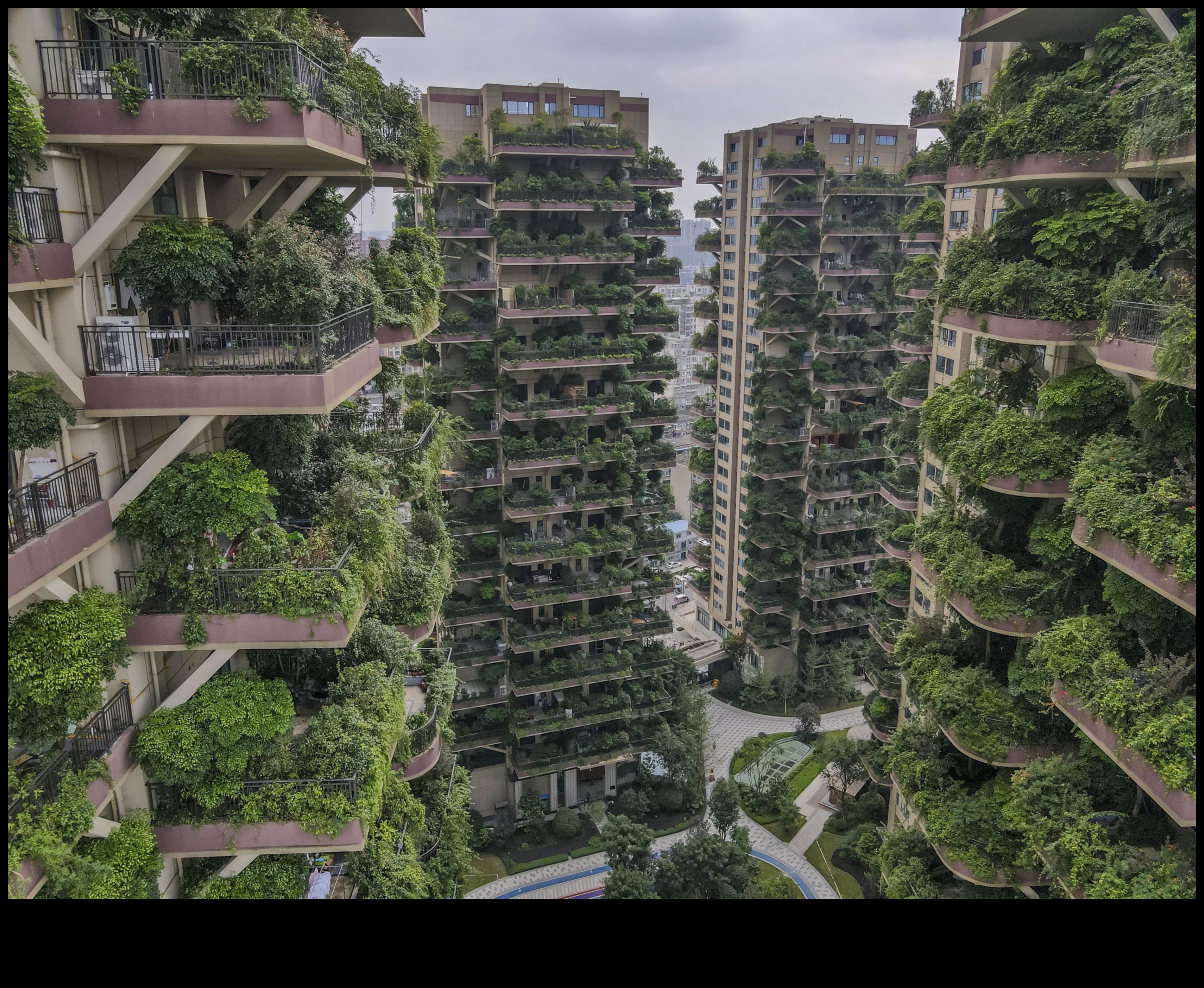 Vertical Ventures: Urban Gardening for Limited Spaces