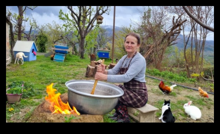 Hamlet Havens: Charming Views of Villages and Towns