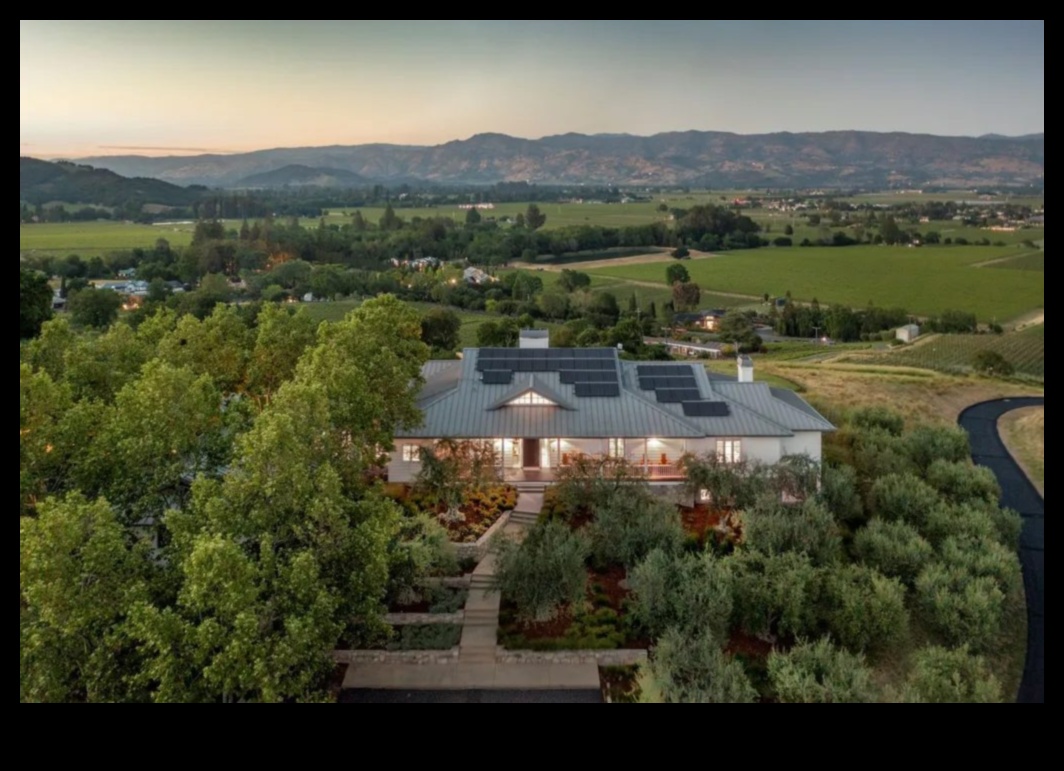 Vineyard Vistas III: Exploring the Artistry of Vineyards Worldwide Once More