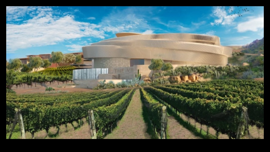 Vineyard Vistas II: Exploring the Artistry of Vineyards Worldwide