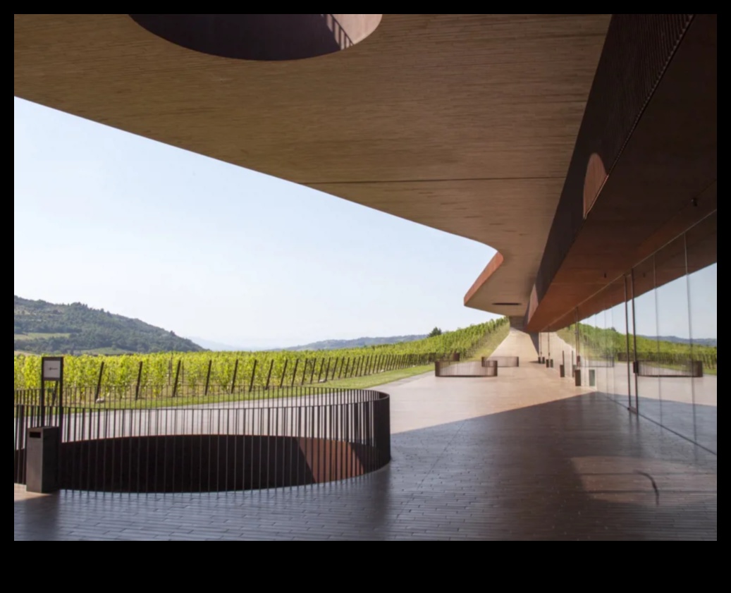 Vineyard Vistas II: Exploring the Artistry of Vineyards Worldwide