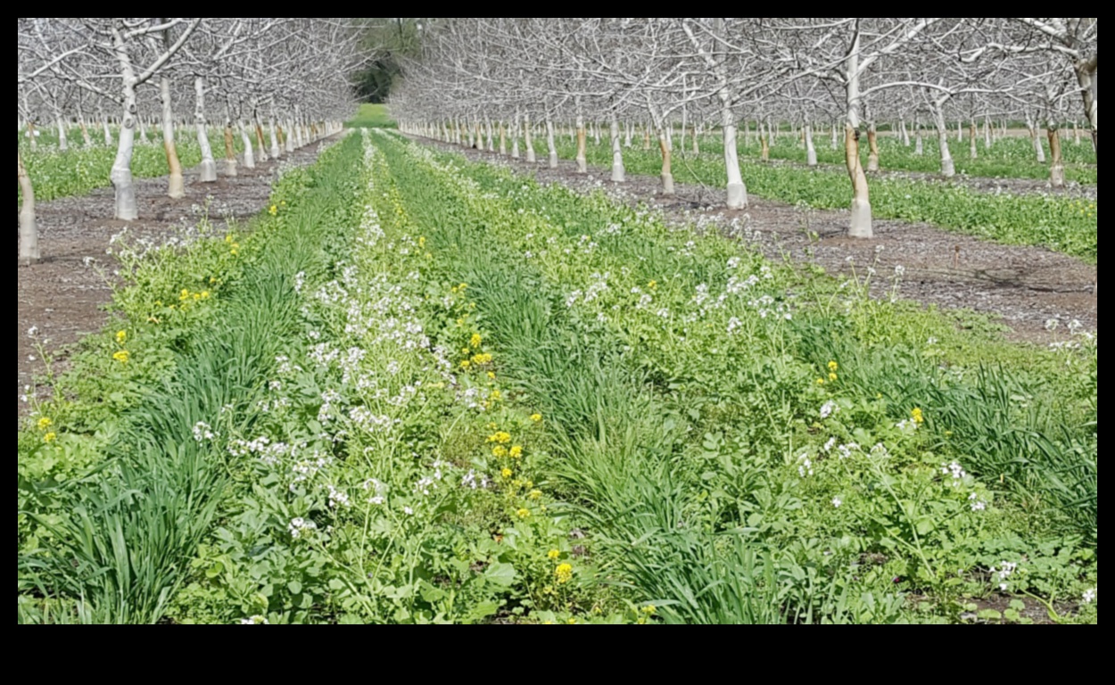 Vineyards and Orchards: Where Agriculture Meets Art