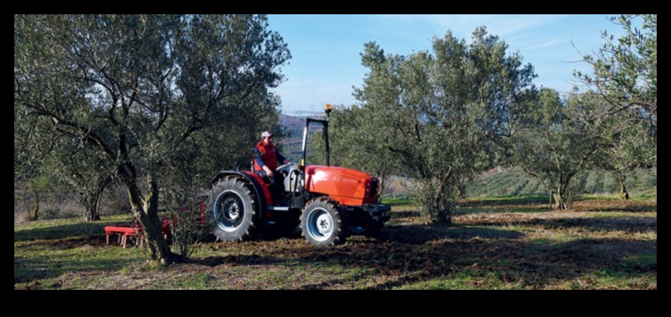 Vineyards and Orchards: Where Agriculture Meets Art