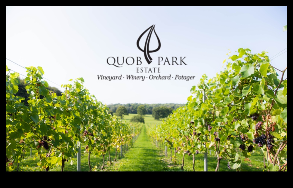 Vineyards and Orchards: Where Agriculture Meets Art