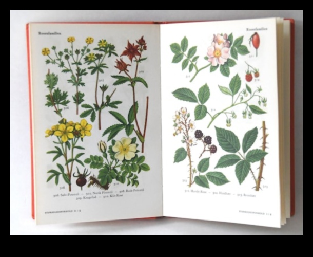 Vintage Reverie: Creating Timeless Beauty in Cottage Blooms