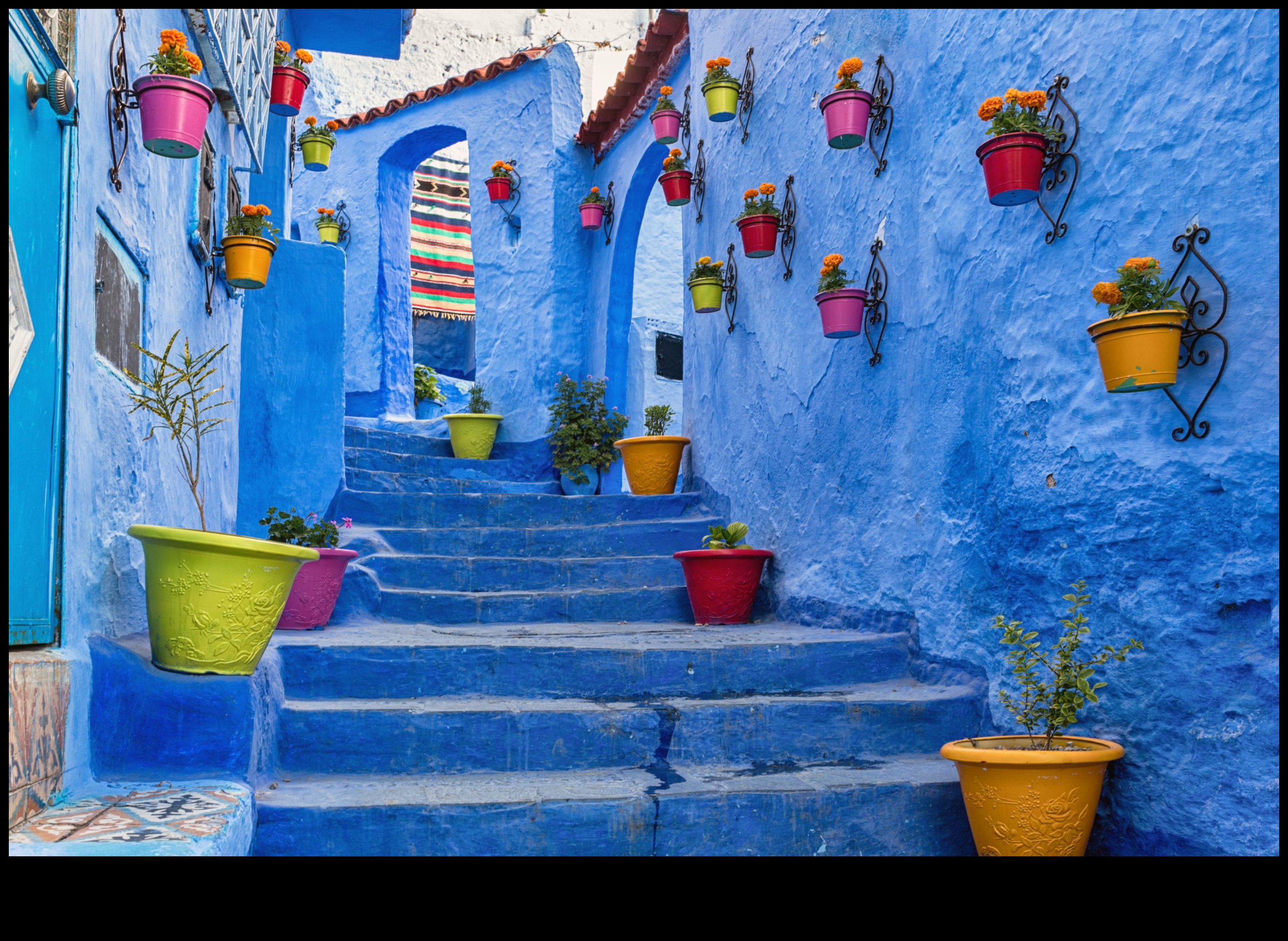 Vivid Perspectives: Exploring Earth's Colorful and Dynamic Landscapes