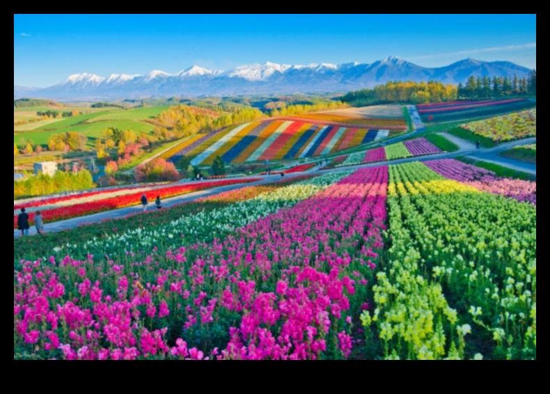 Vivid Perspectives: Exploring Earth's Colorful and Dynamic Landscapes