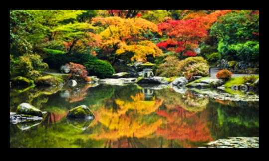 Wabi-Sabi Wonder: Imperfection in Japanese Gardens
