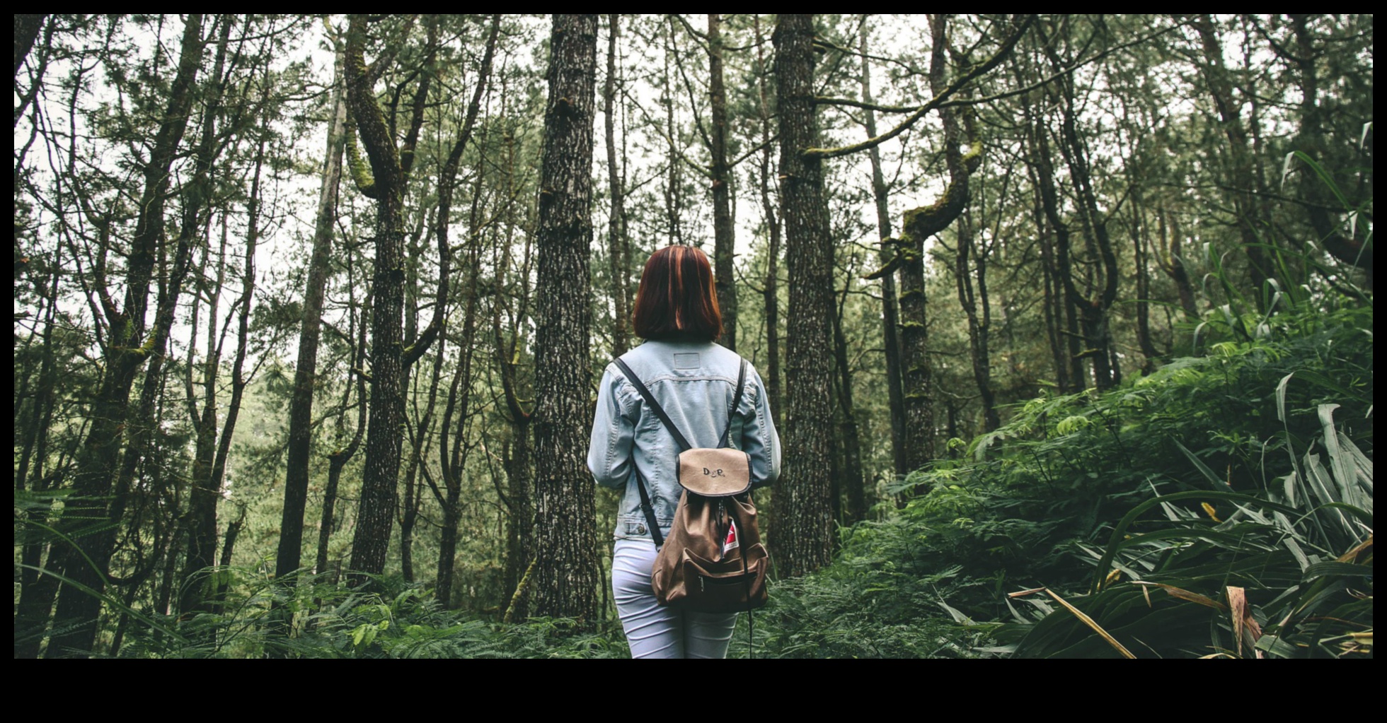 Earthy Elegance Unveiled: A Showcase of Nature's Breathtaking Landscapes