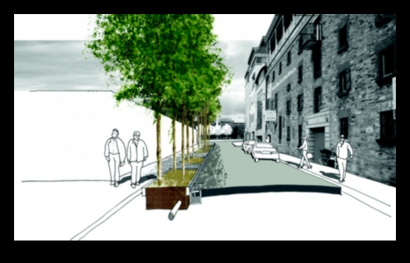 What role do urban water features play in enhancing city landscapes?