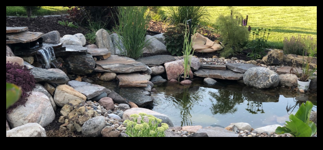 Water Gardens: Aquatic Landscapes with Floating Beauty